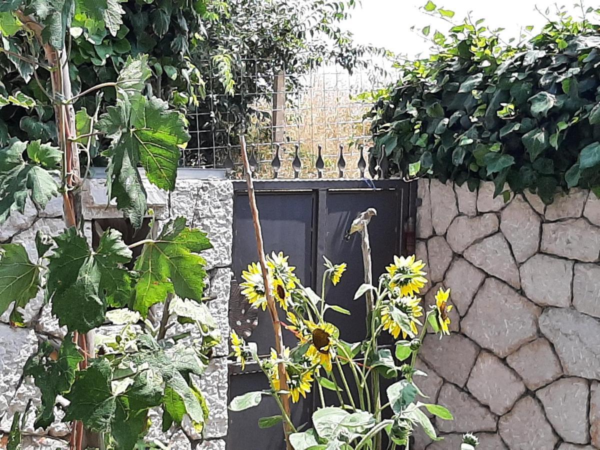 Dubrovnik Apartment Nepe ภายนอก รูปภาพ