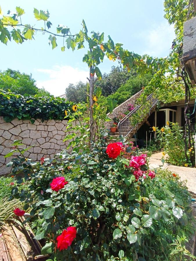 Dubrovnik Apartment Nepe ภายนอก รูปภาพ